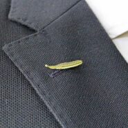 مزایا و کاربرد بج سینه